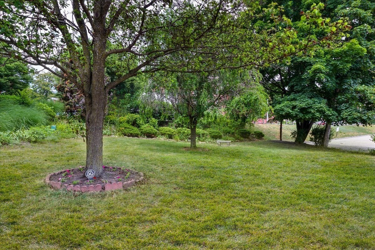 29 Irving Street # 8 Property Photo 25