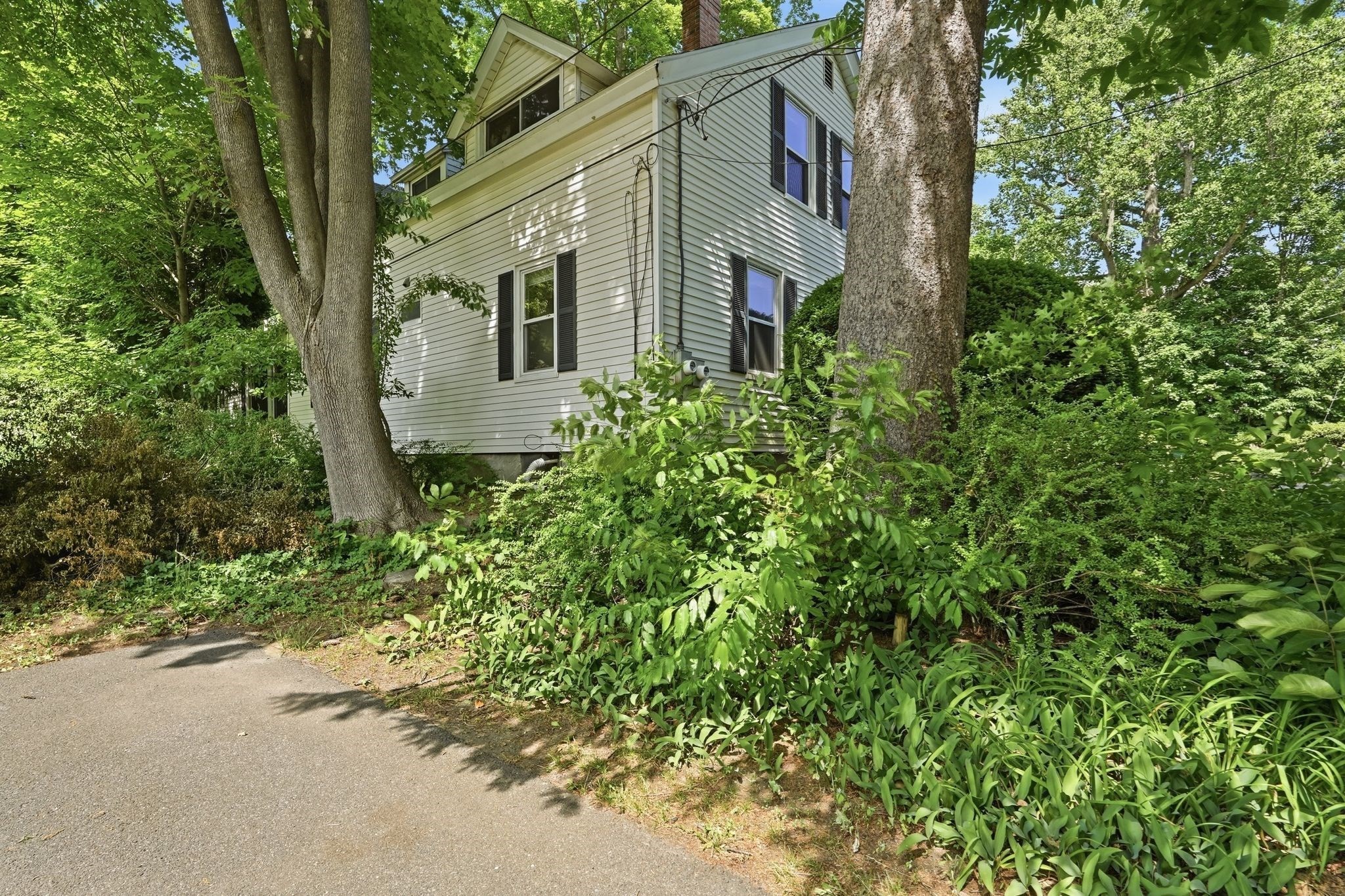 155 Amity St Property Photo 33