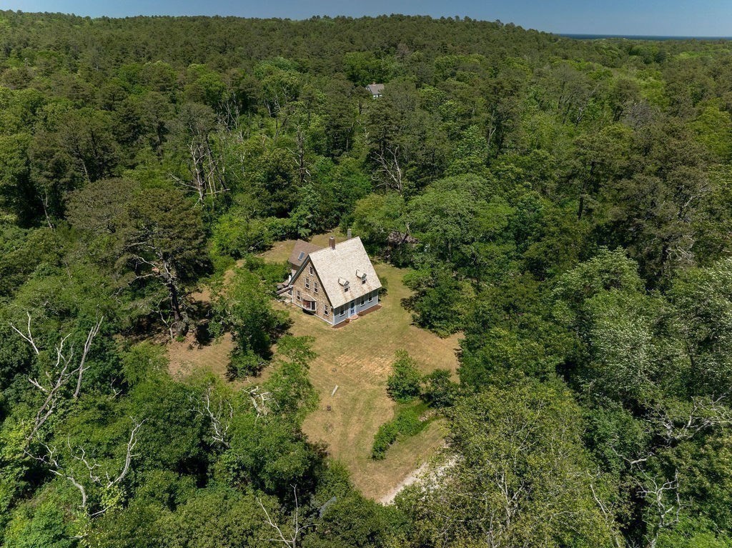 2950 Old Kings Hwy Property Photo 38