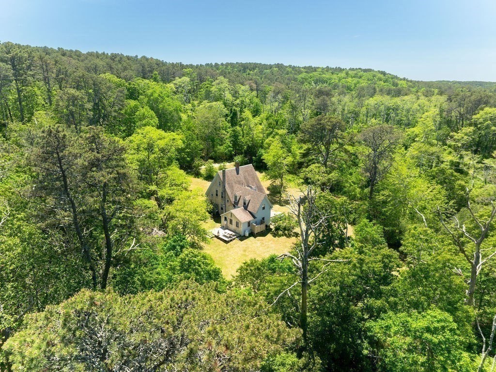 2950 Old Kings Hwy Property Photo 39