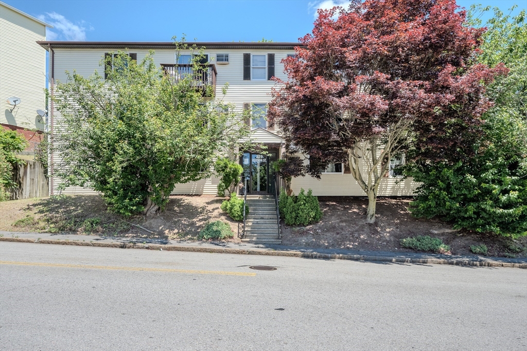 229 Vernon St # 3 Property Photo 1