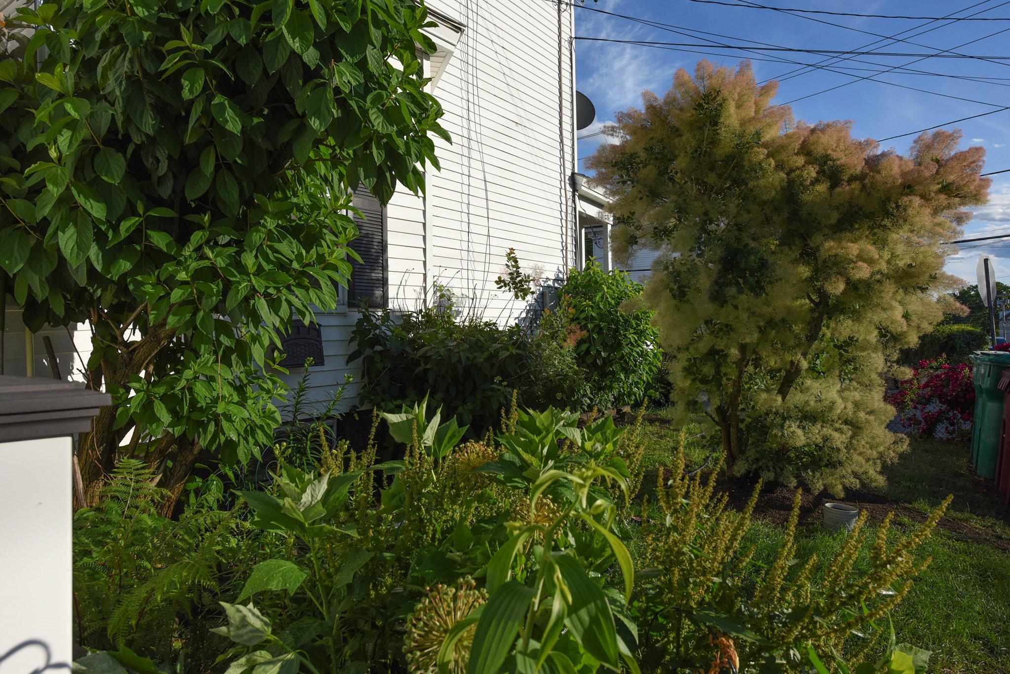 103 Dalton Street Property Photo 23