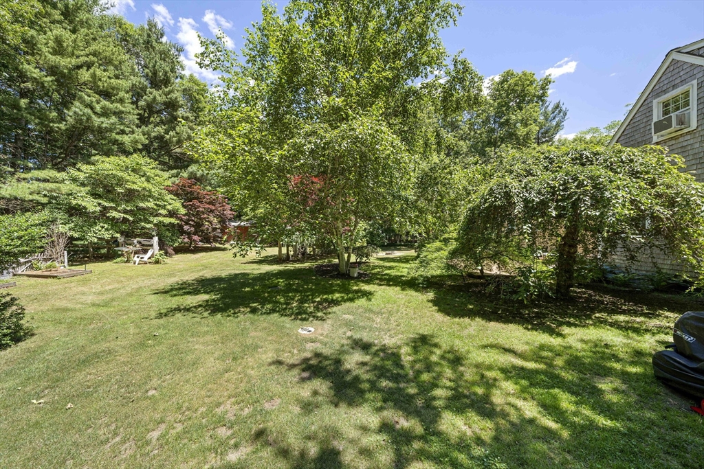 12 Walnut Rd Property Photo 34