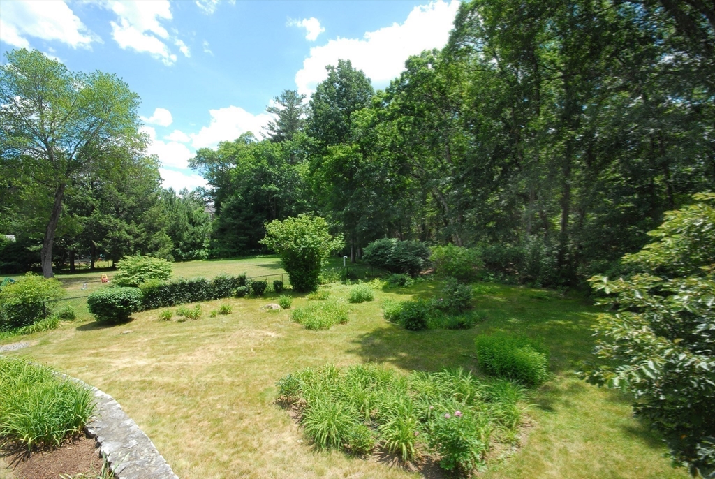 297 Laws Brook Rd Property Photo 6