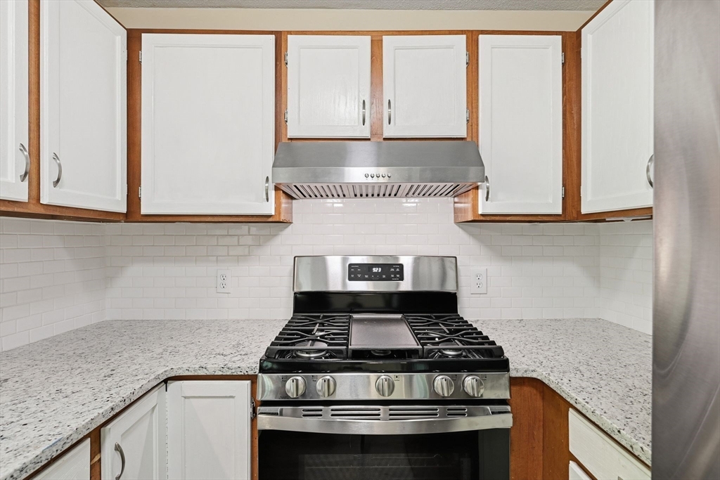 53 Luden St Property Photo 11