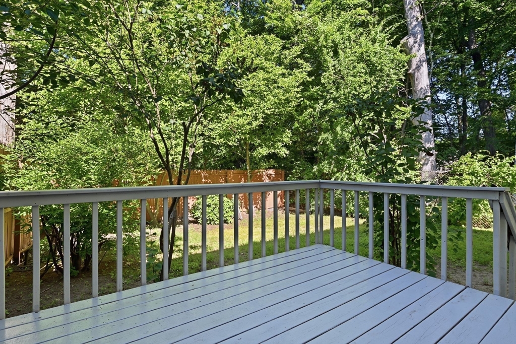 53 Luden St Property Photo 36