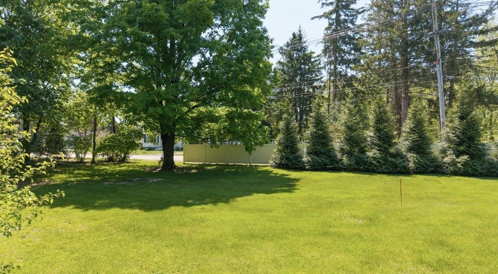 229 Spring St Property Photo 4