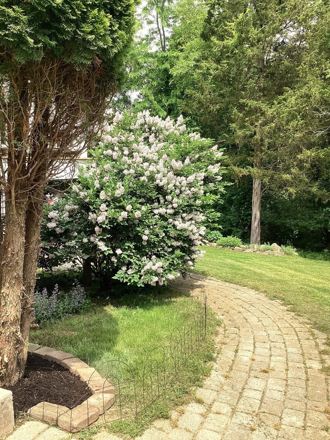 100 Choate Property Photo 4