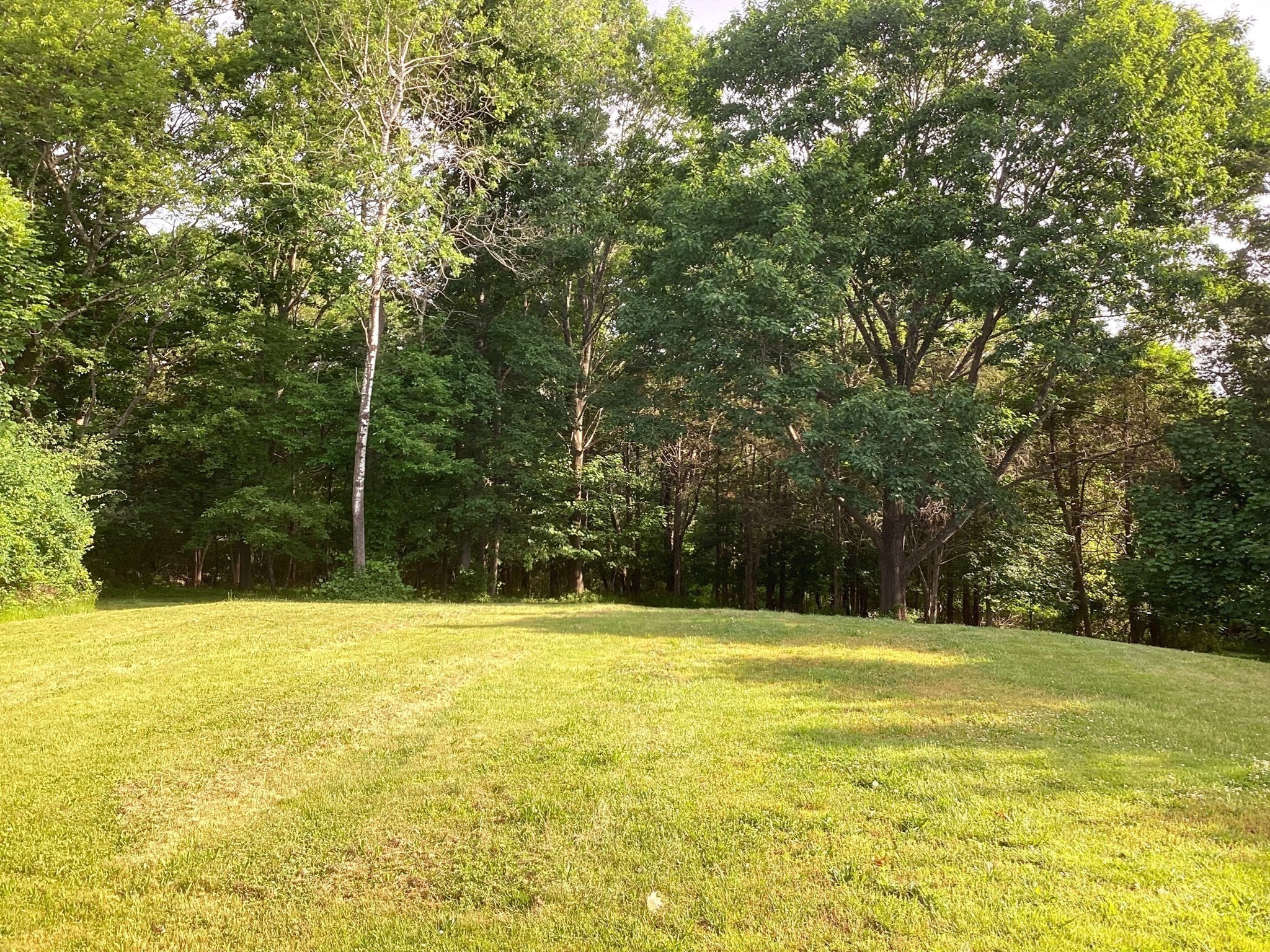 100 Choate Property Photo 5