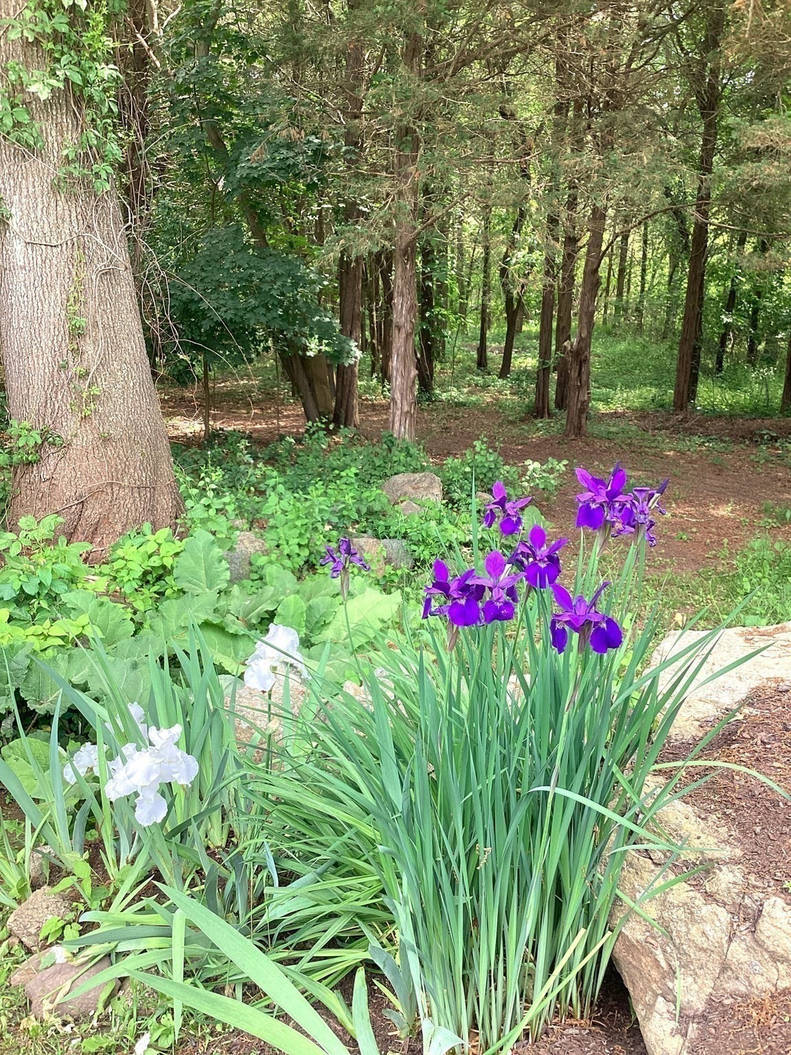 100 Choate Property Photo 8