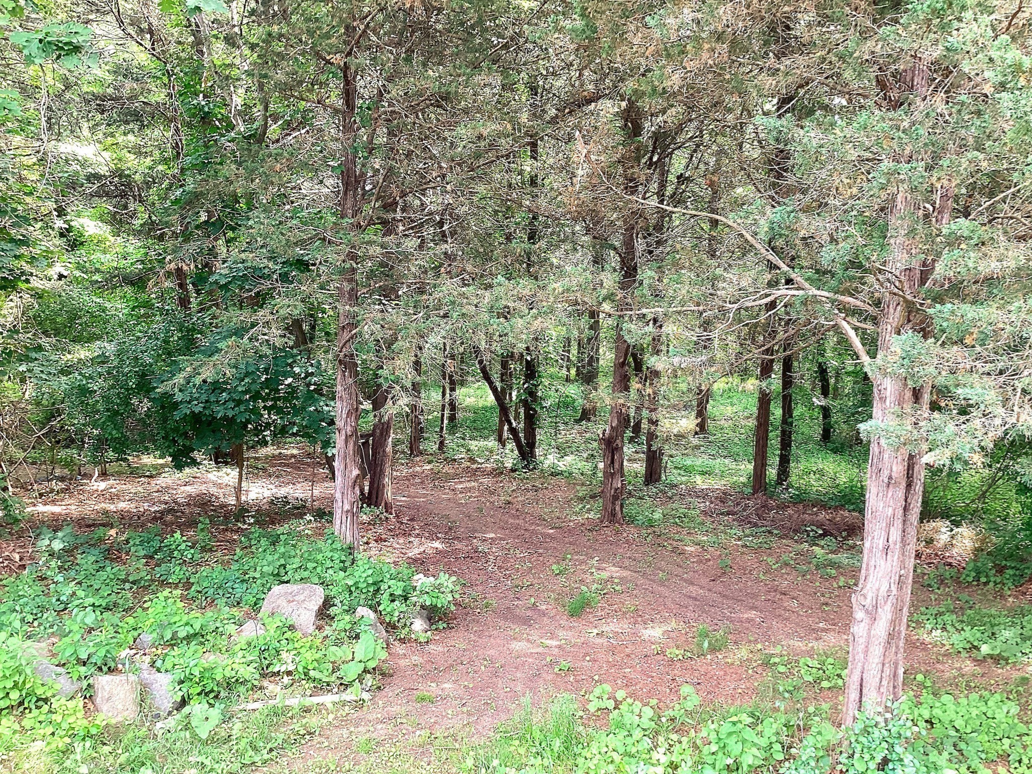 100 Choate Property Photo 12