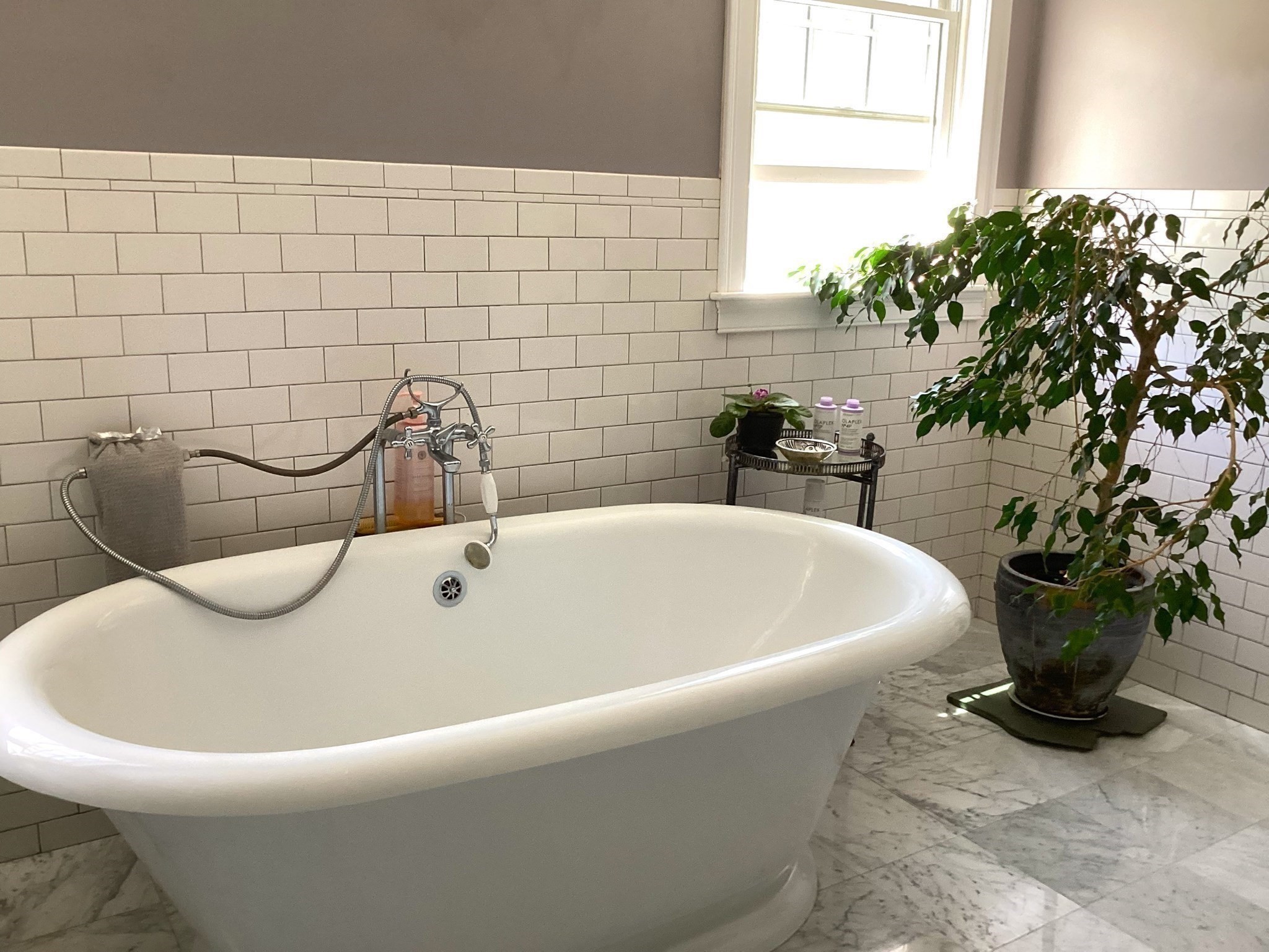 100 Choate Property Photo 20