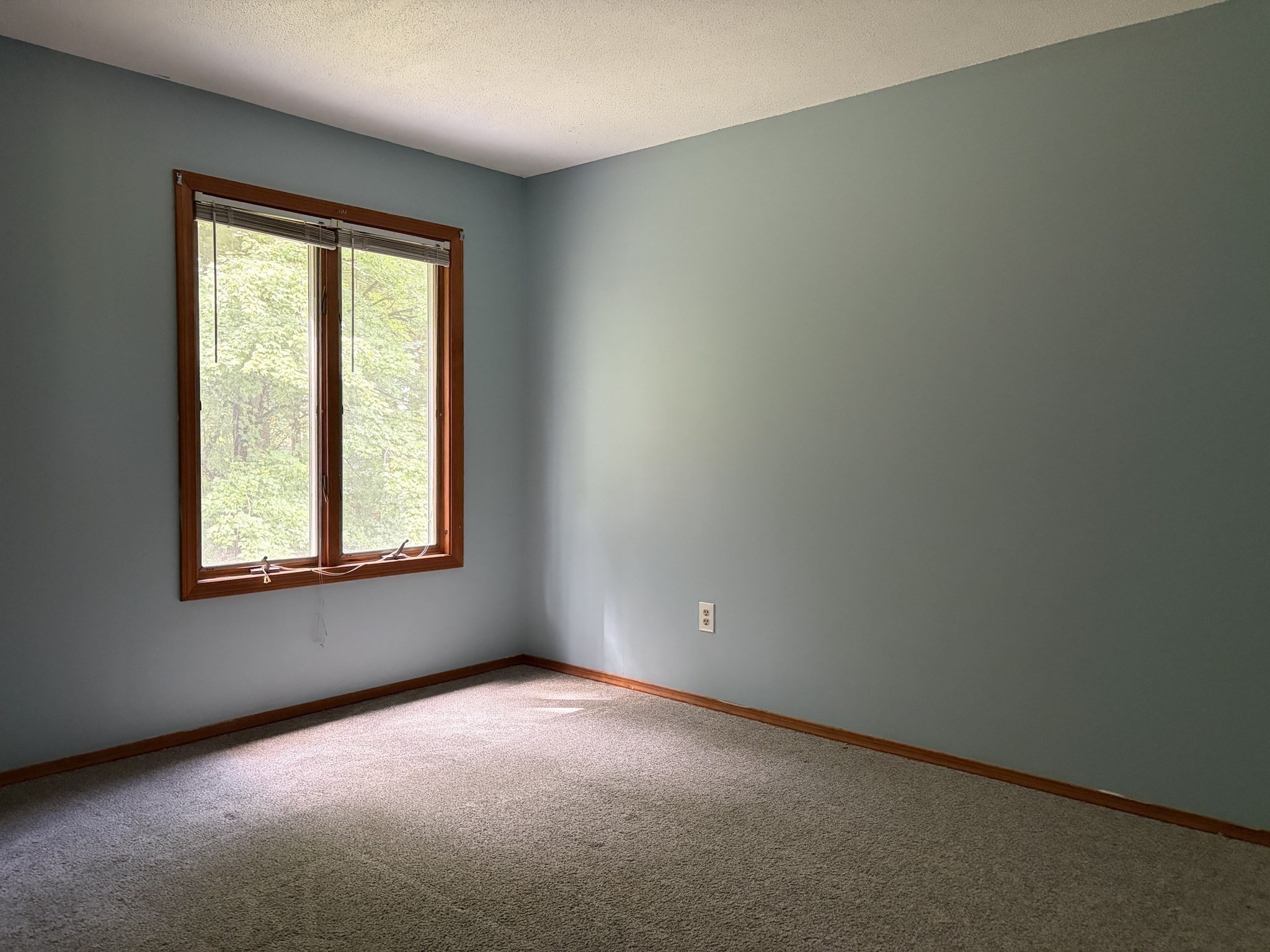 16 Clark Property Photo 13