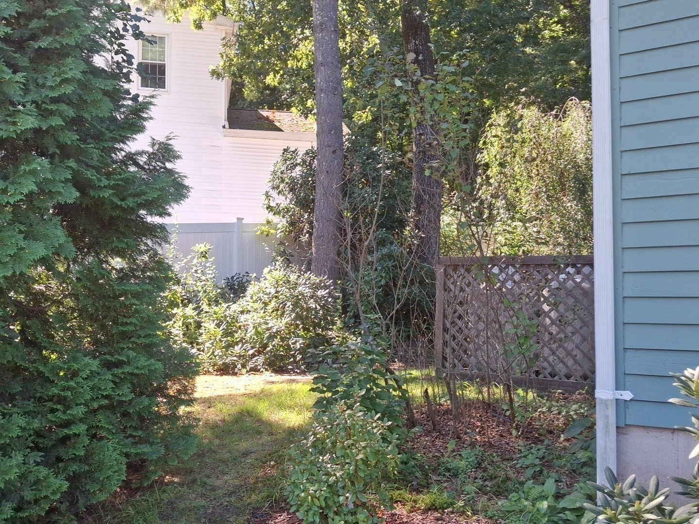 16 Clark Property Photo 20