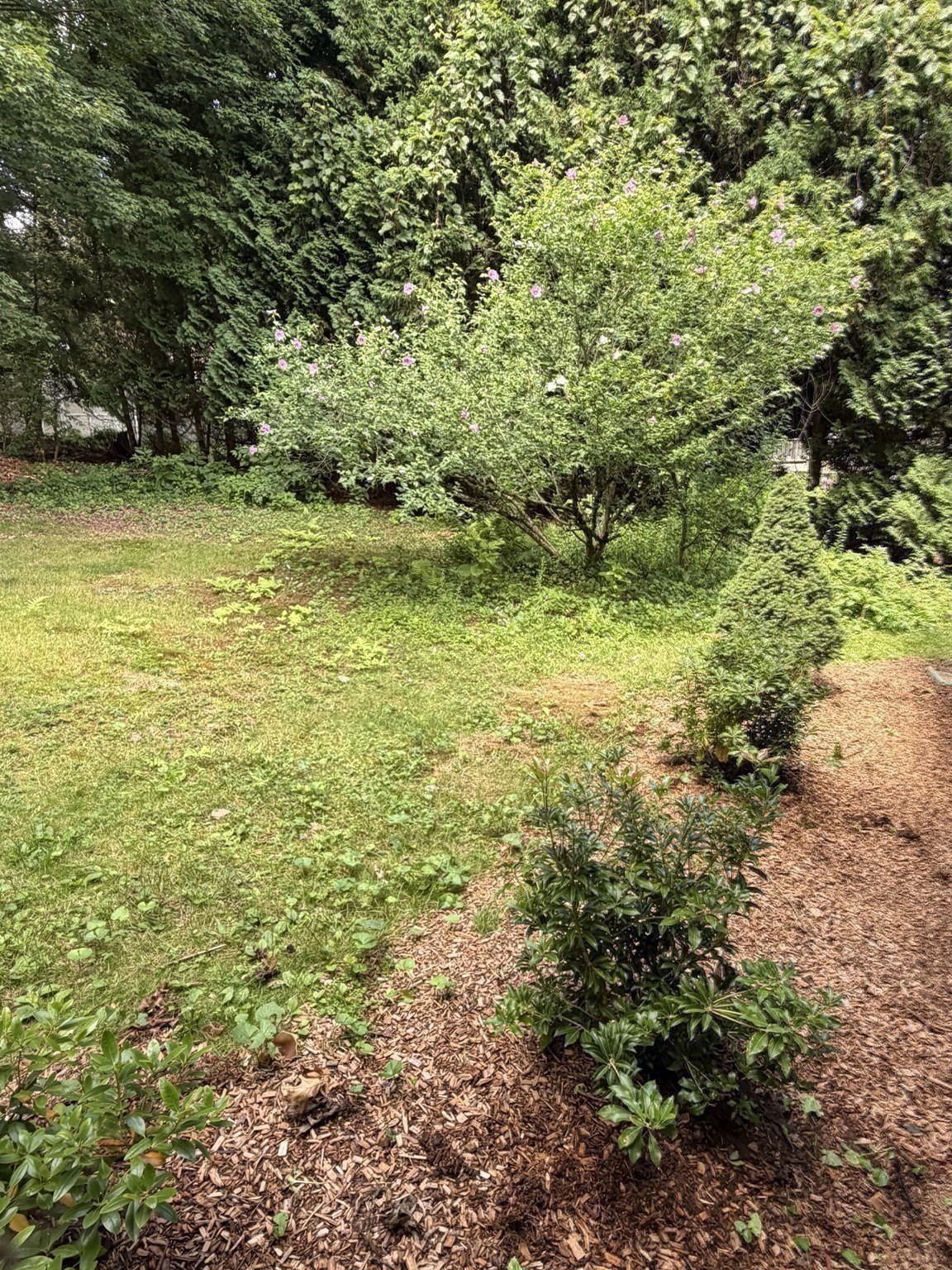 16 Clark Property Photo 26