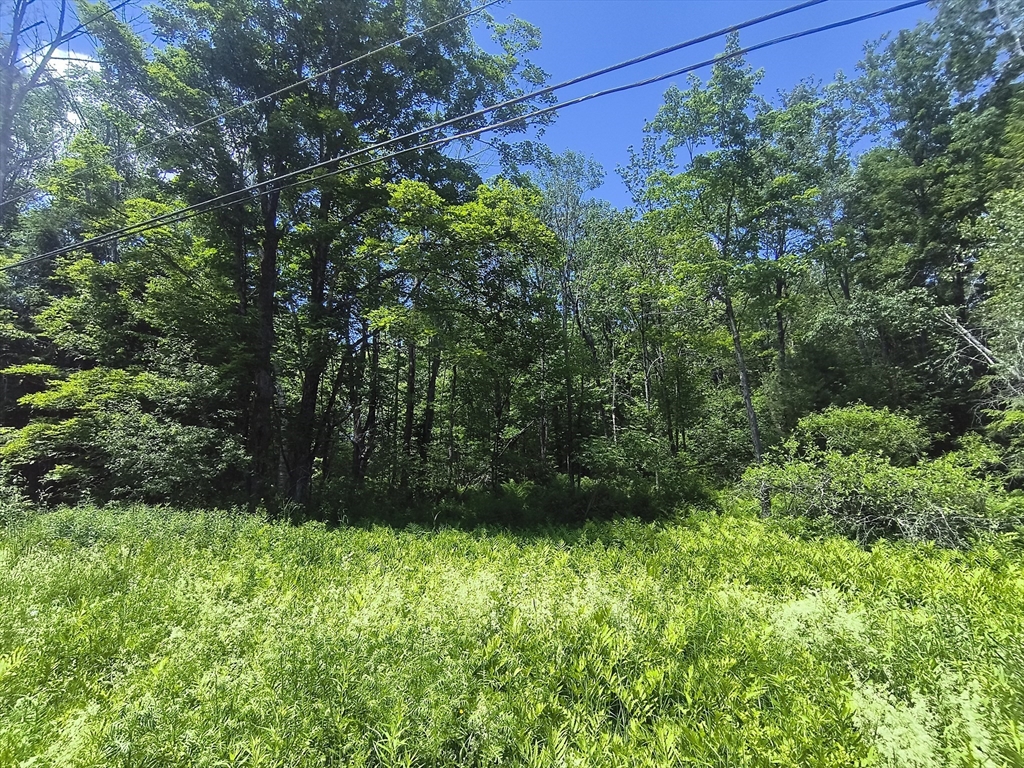 0 Brown Hill Road Property Photo 1