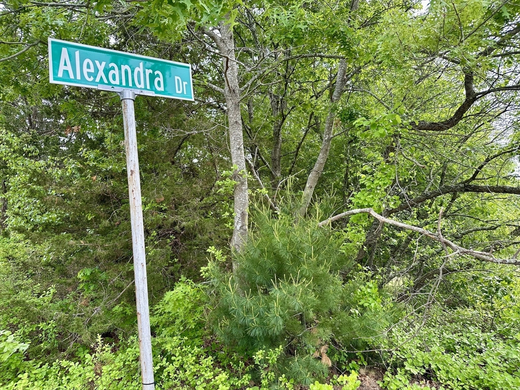 24 Alexandra Dr Property Photo 9