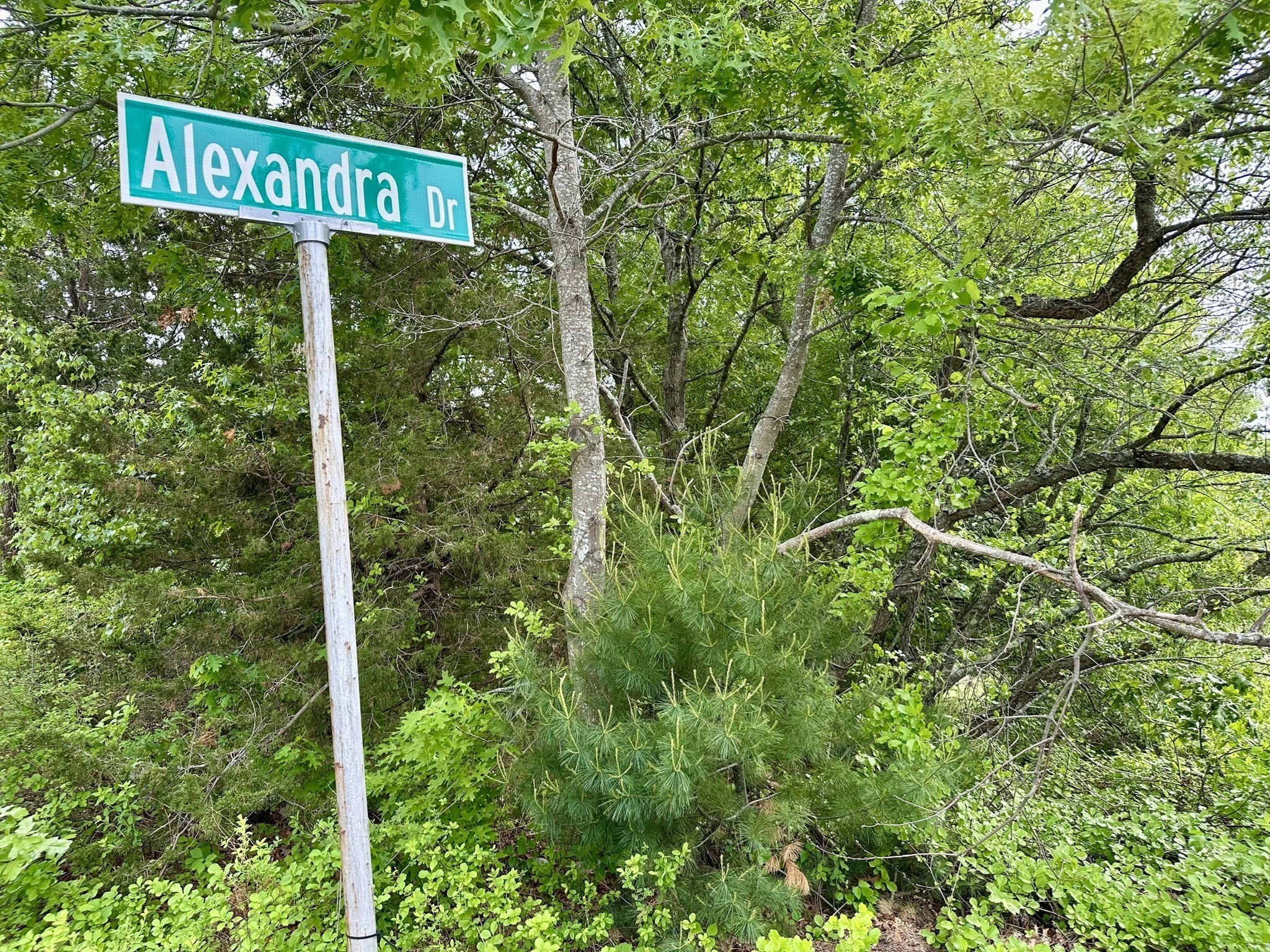 24 Alexandra Dr Property Photo 9