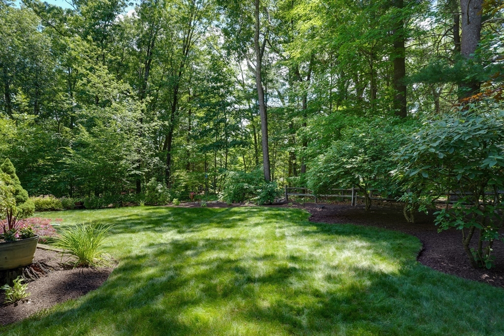 15 Carter Drive Property Photo 38