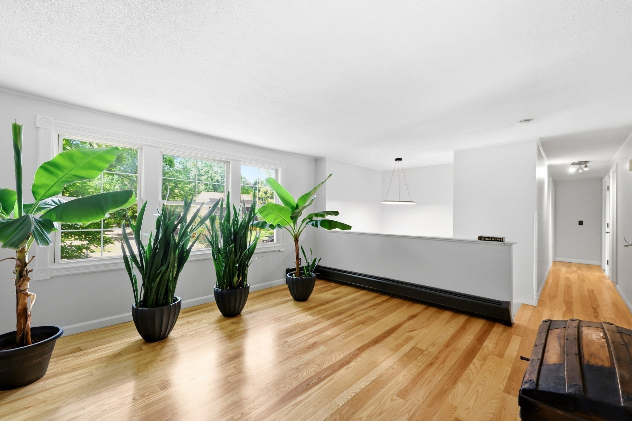 23 Phelps St Property Photo 15