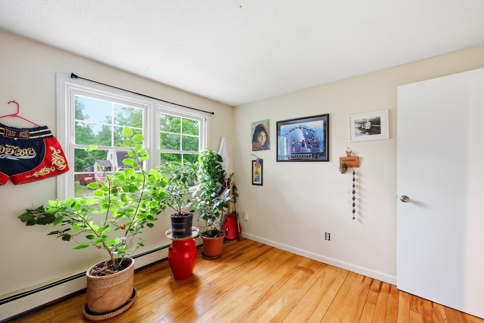 23 Phelps St Property Photo 24