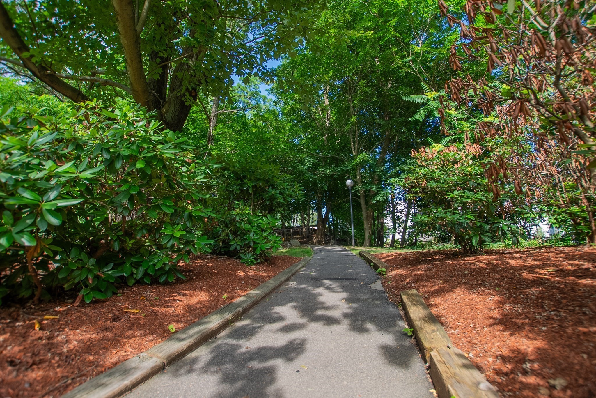 250 Hammond Pond Parkway # 102n Property Photo 38