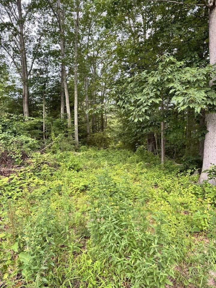 24-a 34-a Dow Property Photo 3