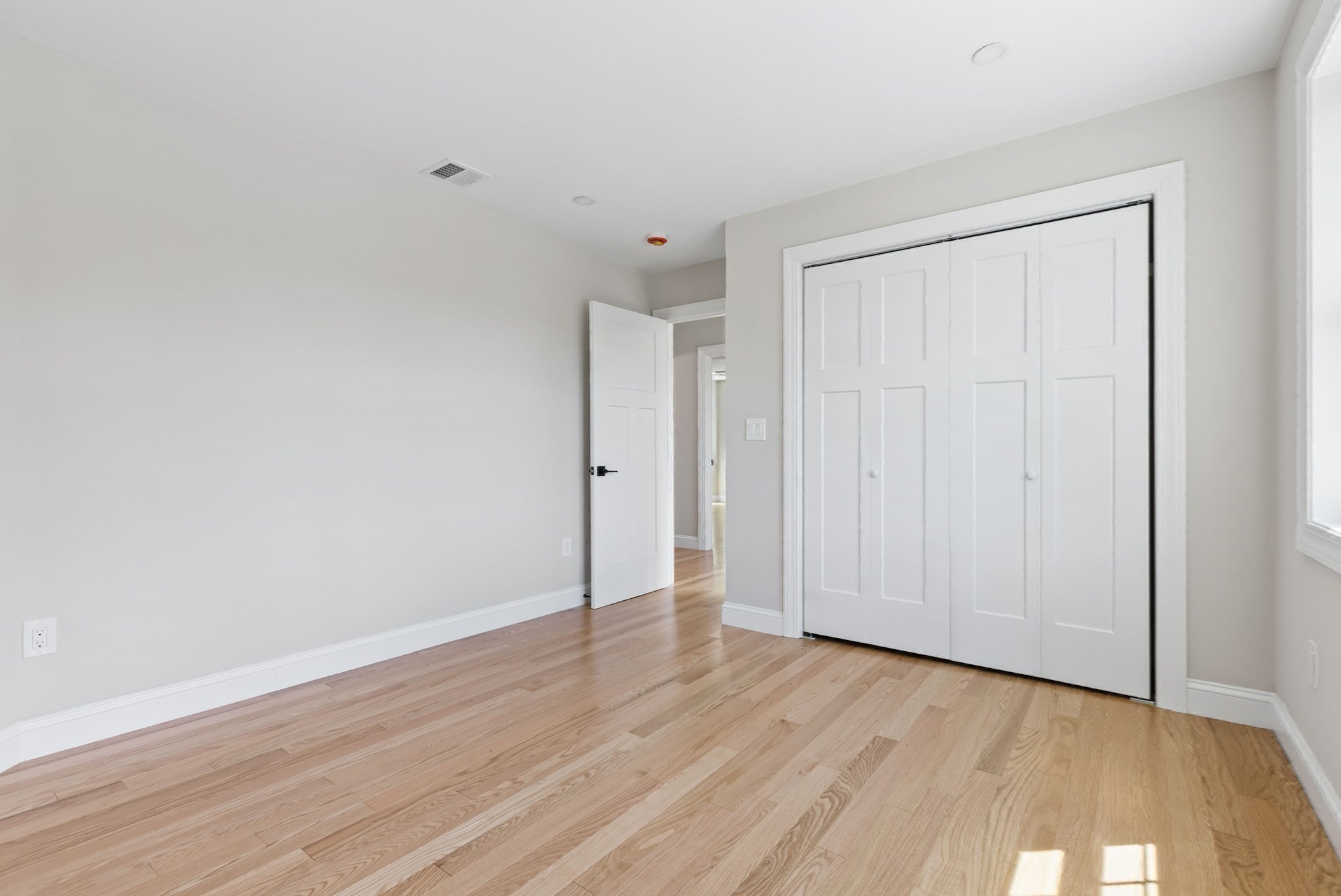 53 Louis St Property Photo 13