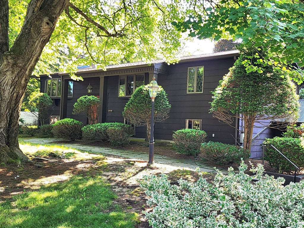 244 Lathrop Street Property Photo 1