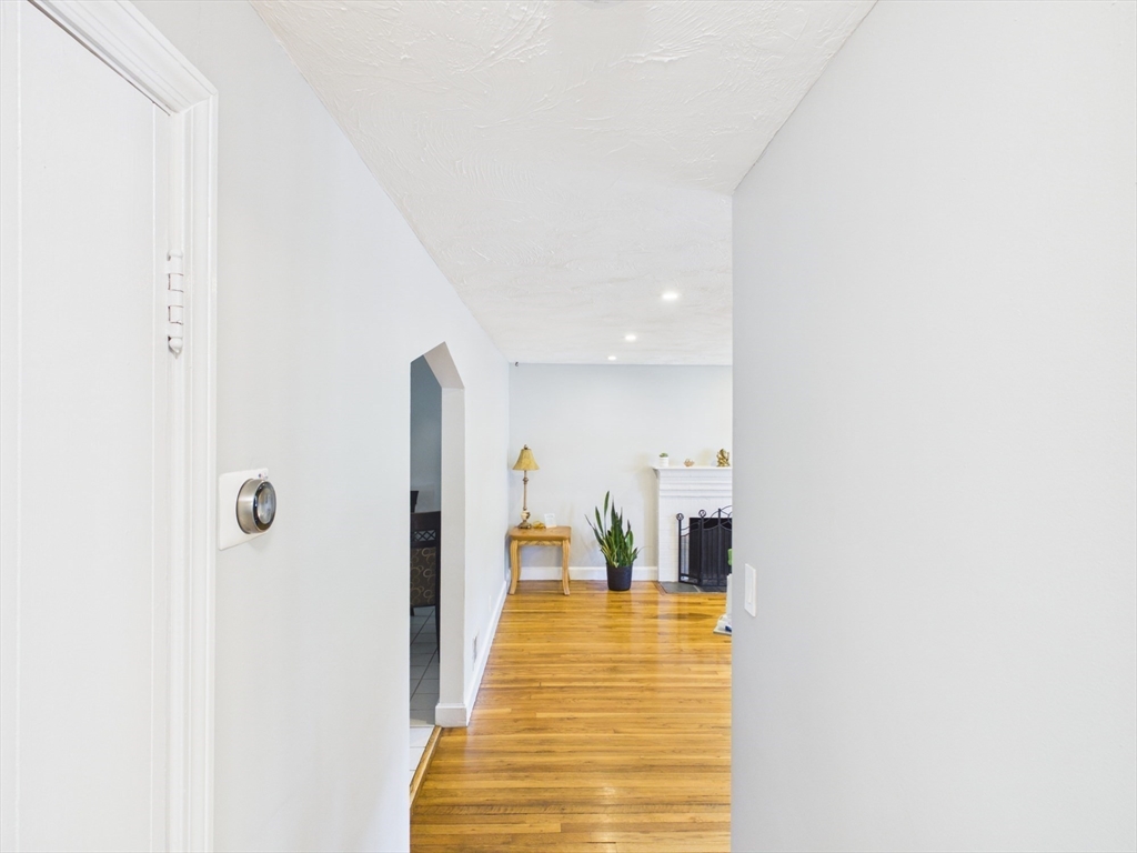 41 Essex Road Property Photo 19