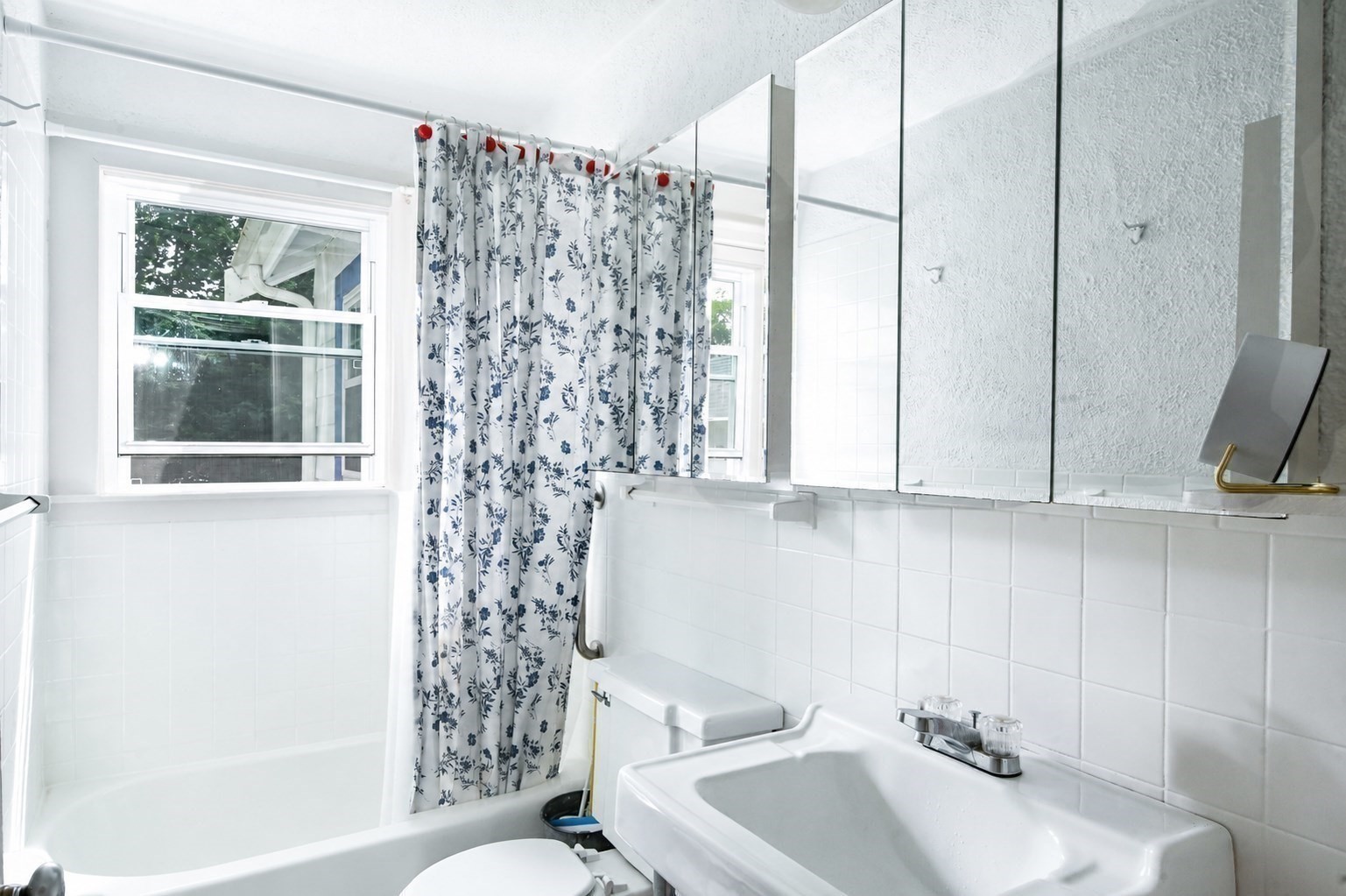 5 Hamlin Avenue Property Photo 14