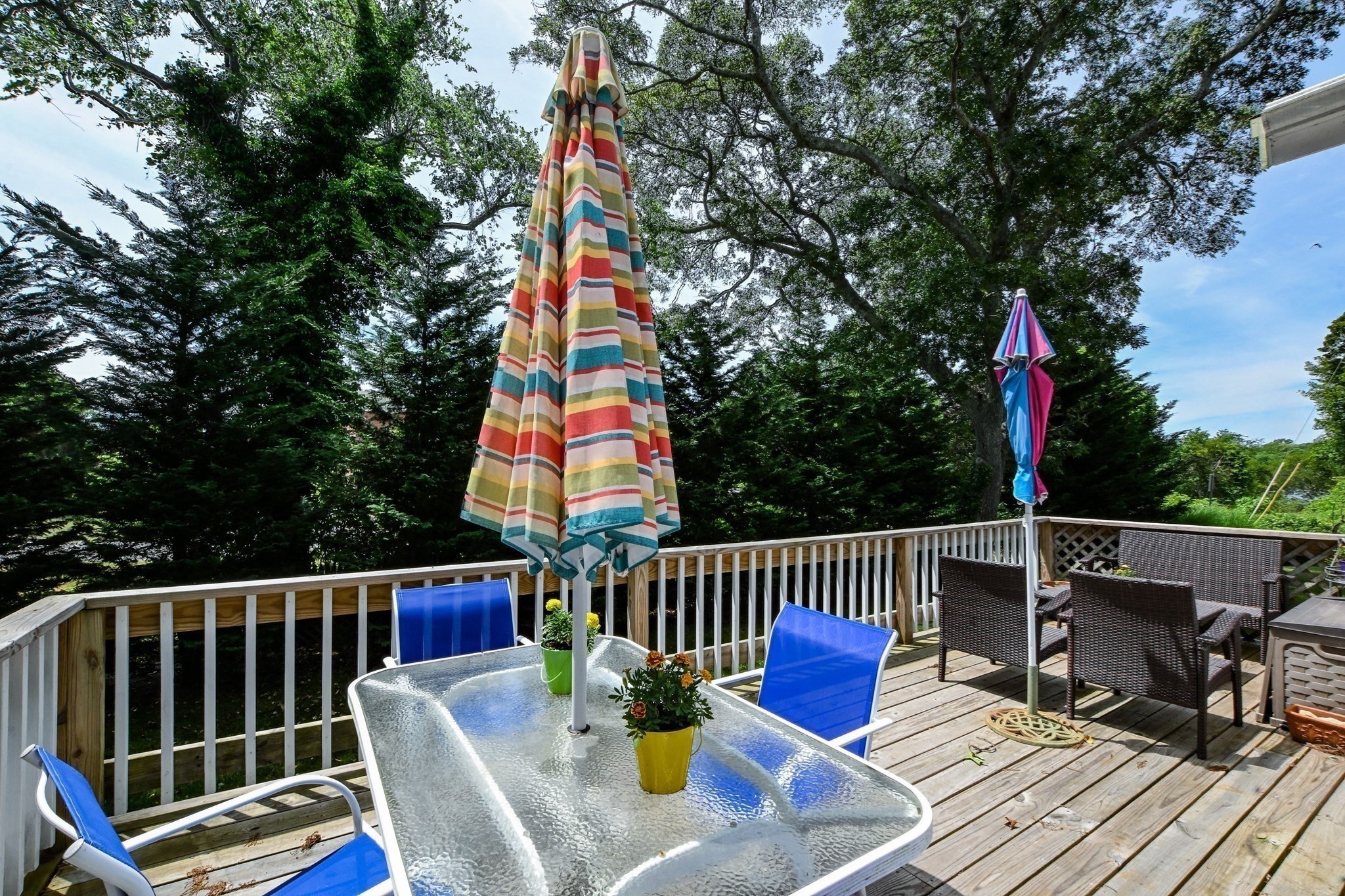 5 Hamlin Avenue Property Photo 26