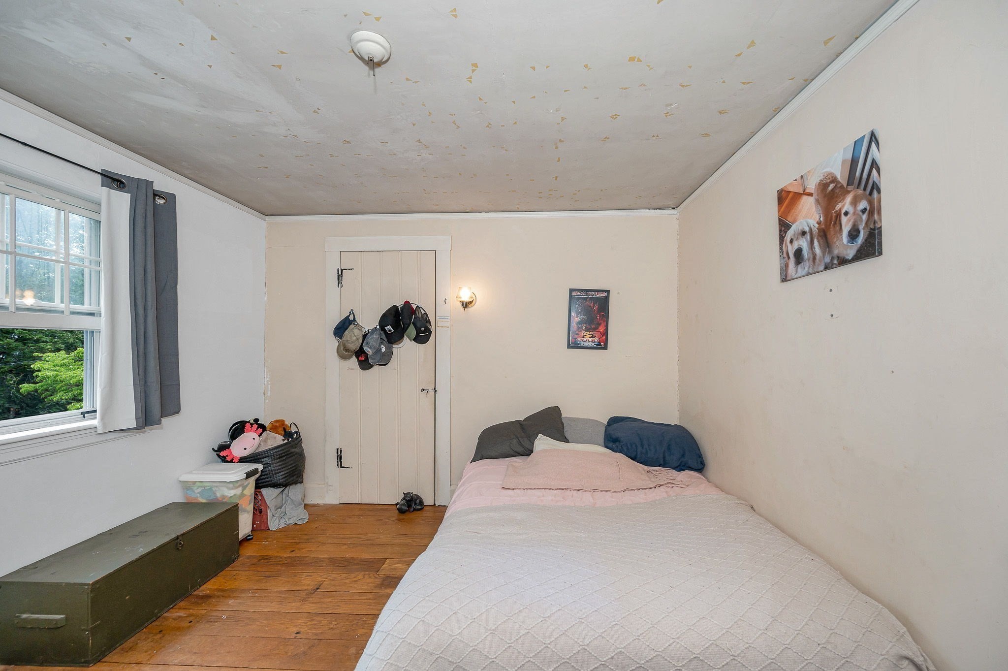 39 Holman Rd Property Photo 23
