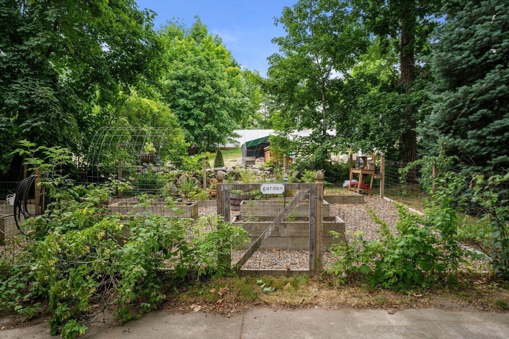 31 Broadway Property Photo 32