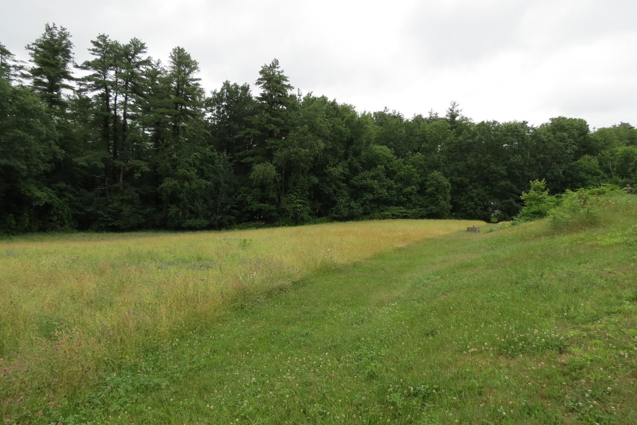Lot D Brockelman Road Property Photo 7