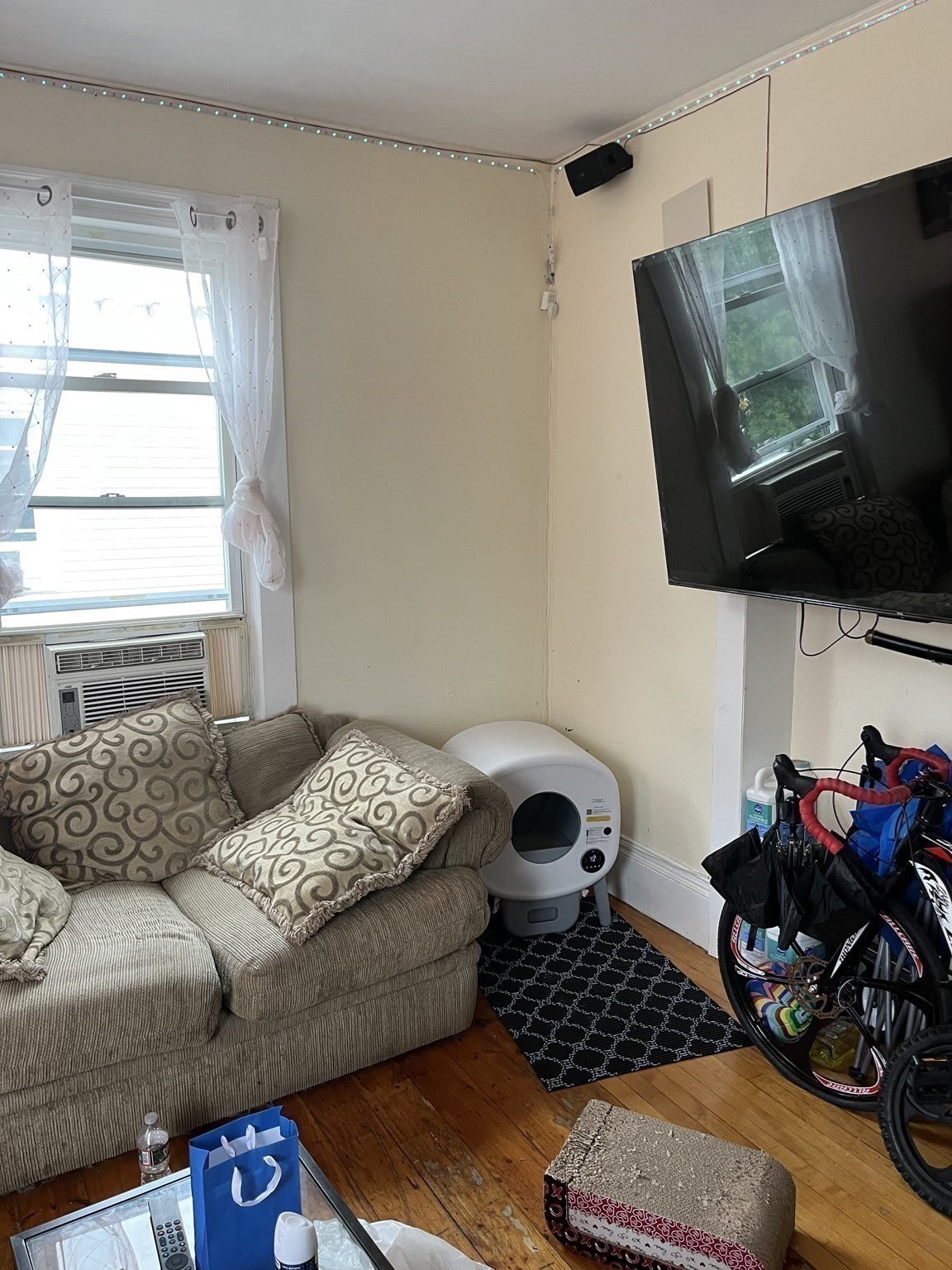73 Woodman Street Property Photo 16