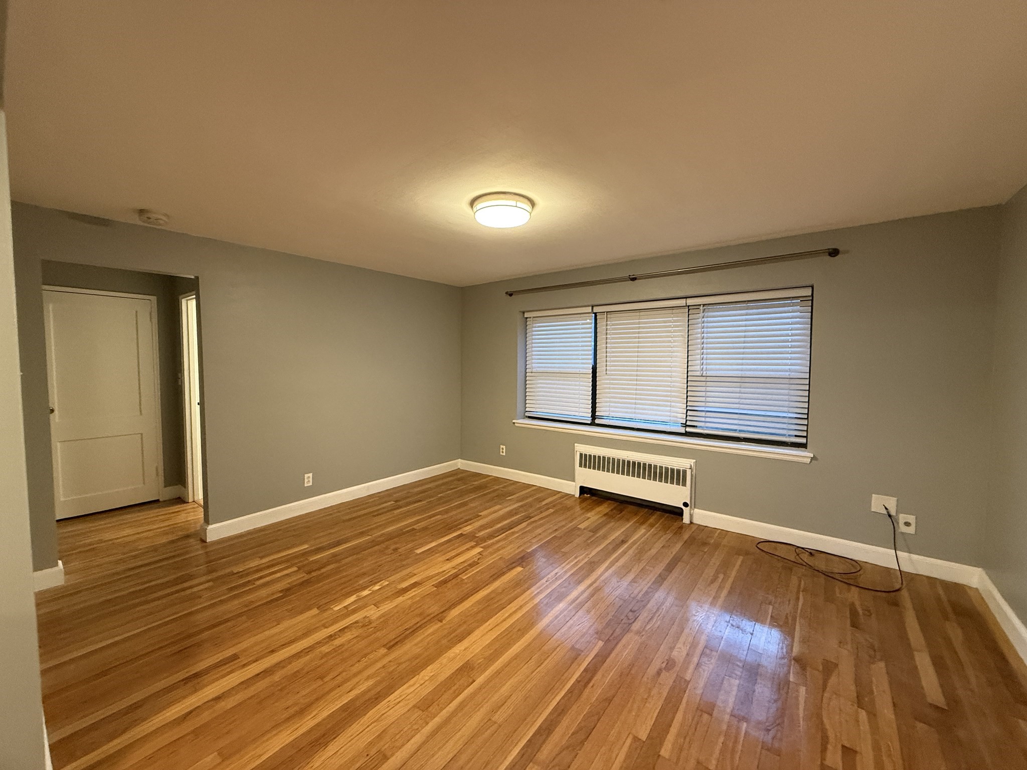 117 Nahant St # 1 Property Photo 3