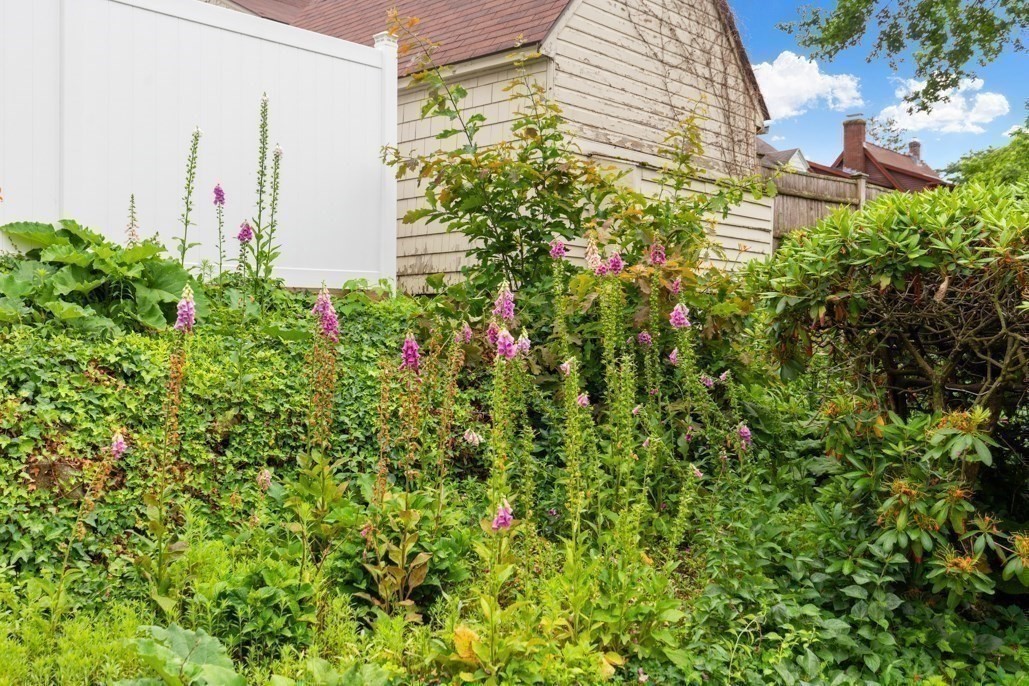4 Rossmore Rd Property Photo 25