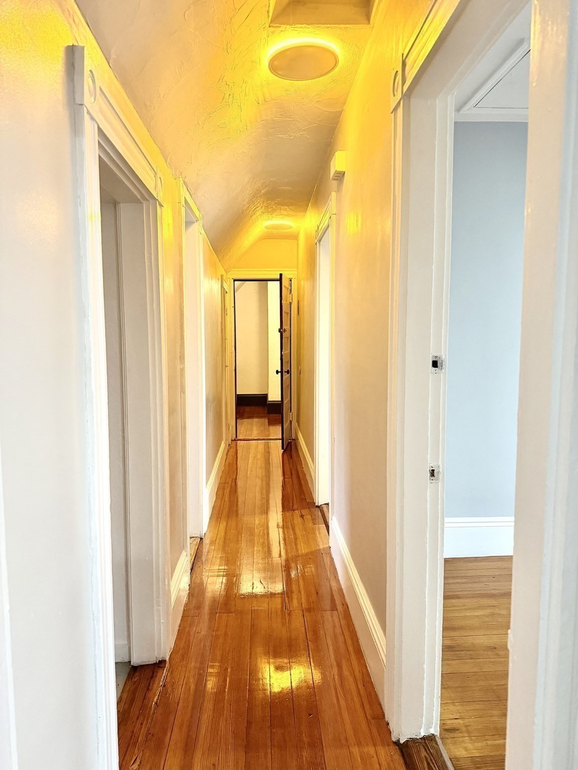 31-33 Hollingsworth St Property Photo 11