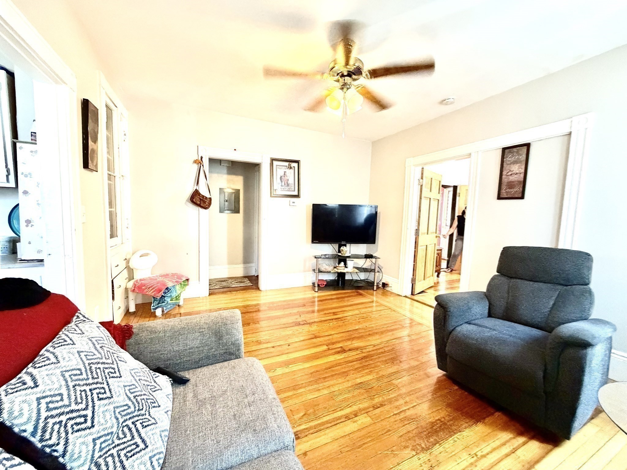 31-33 Hollingsworth St Property Photo 17