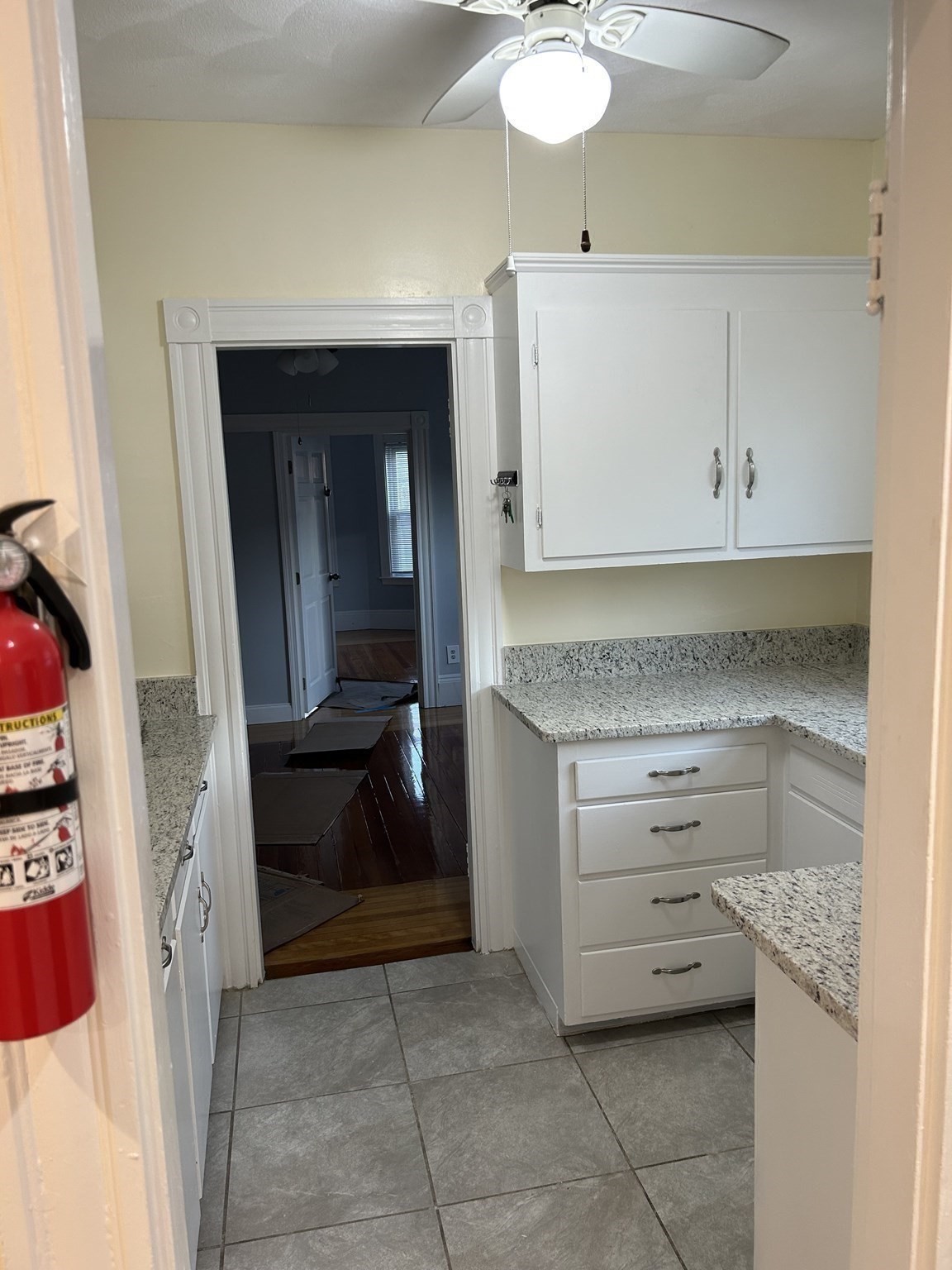 31-33 Hollingsworth St Property Photo 27