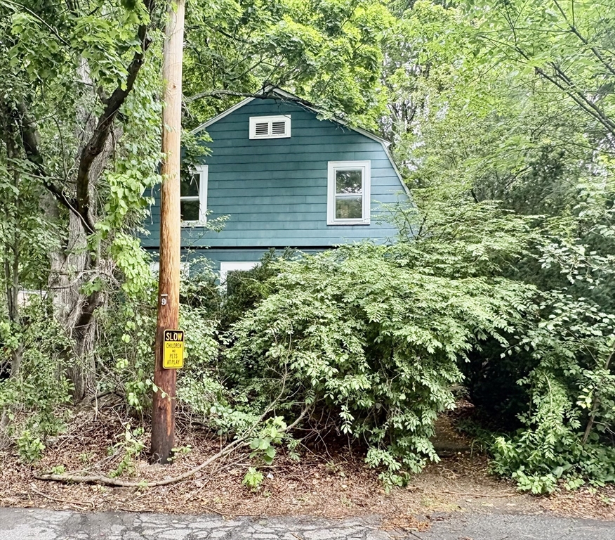 51 Damon Street Property Photo 2