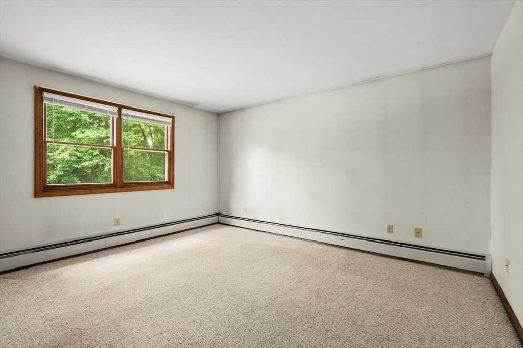 21 Andrews St Property Photo 12