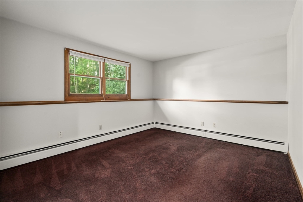 21 Andrews St Property Photo 24