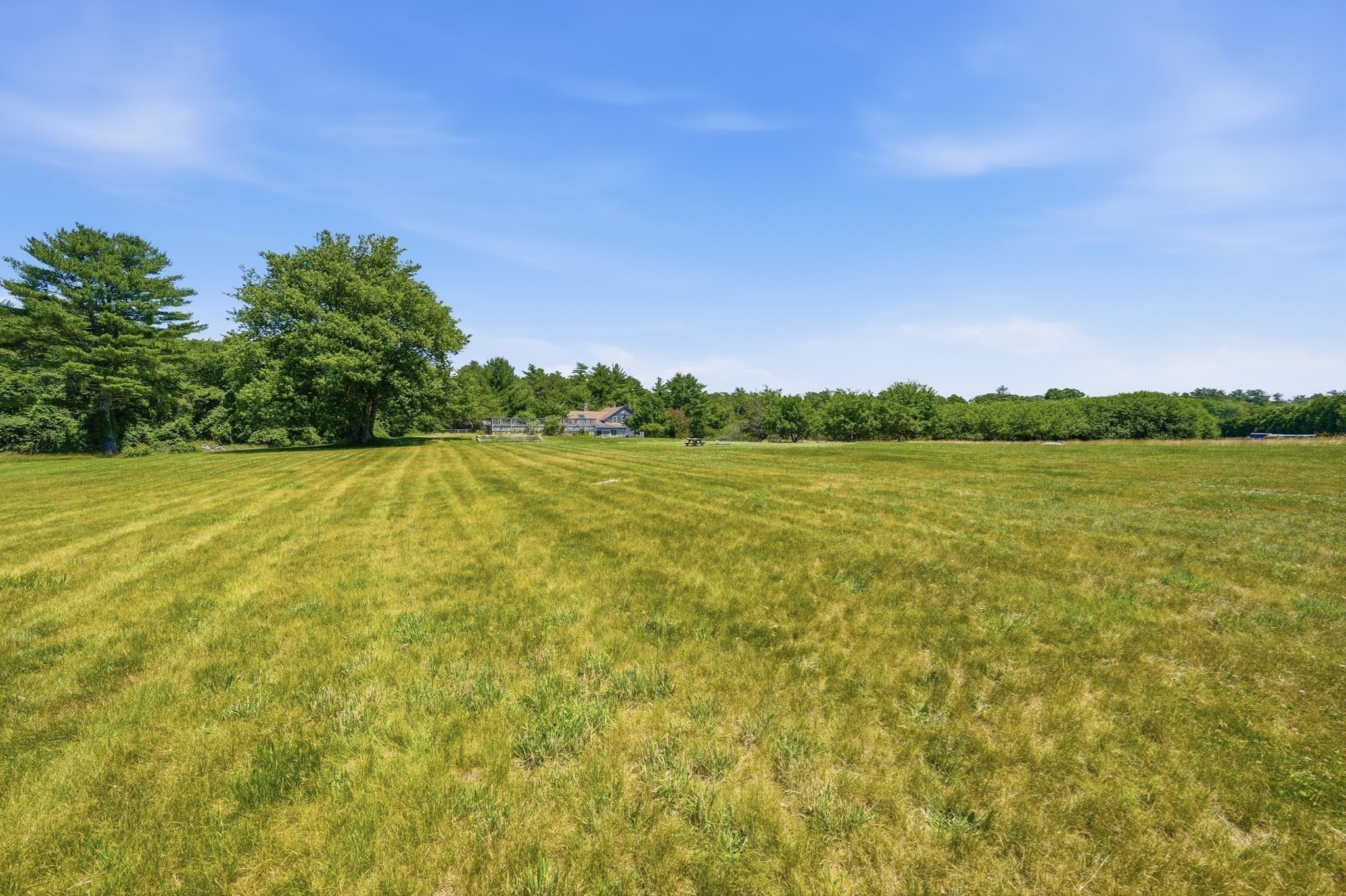 126 Lucy Little Rd Property Photo 5