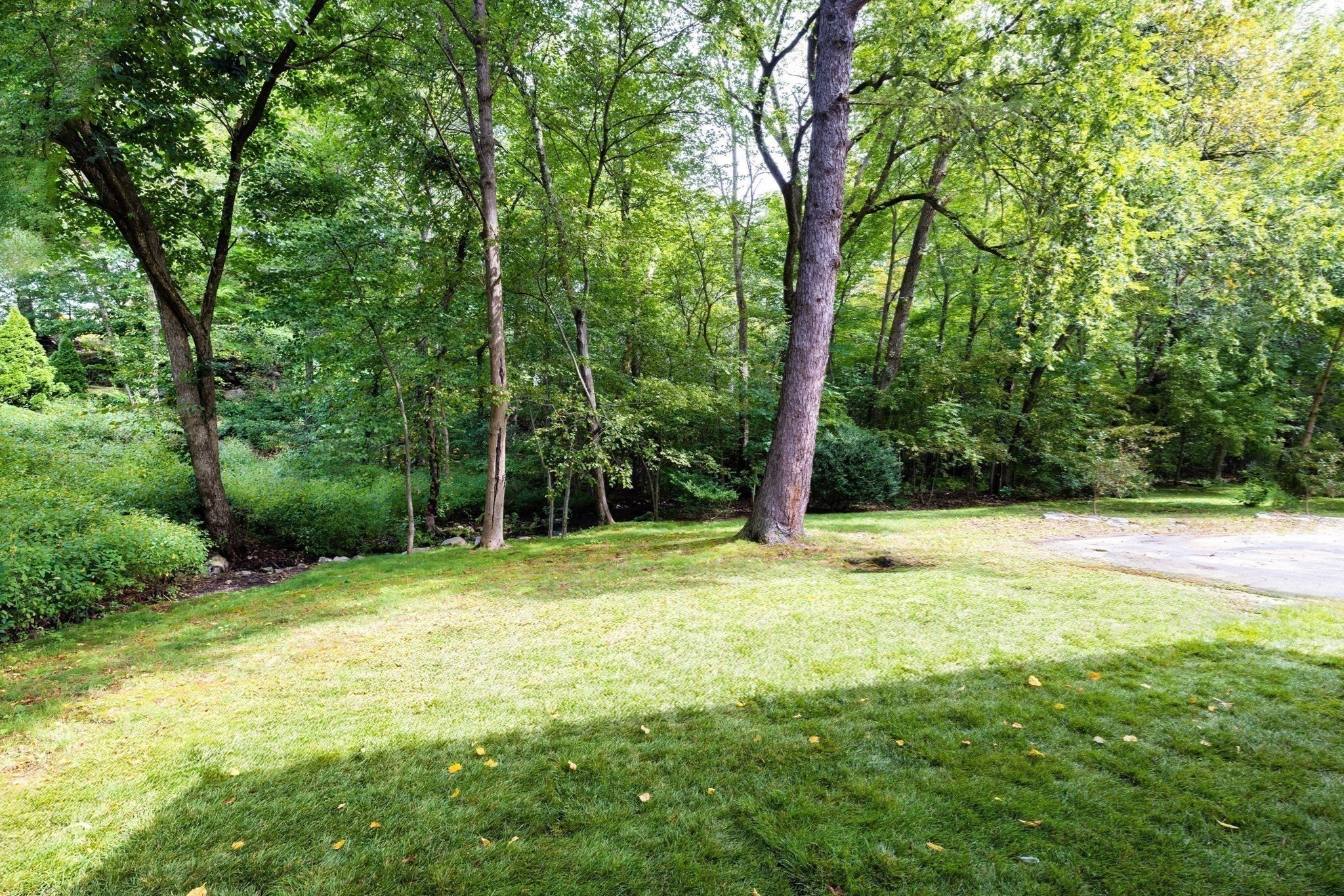 209 Bristol Rd Property Photo 28