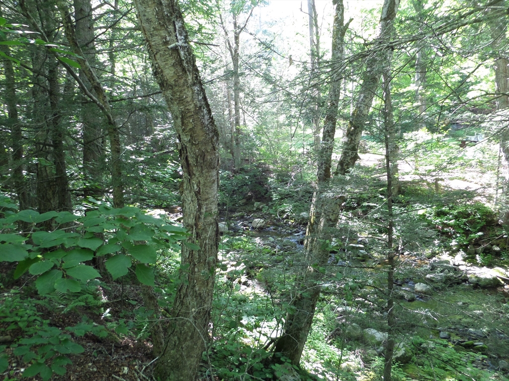 43-a River Rd Property Photo 6