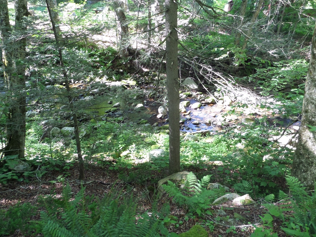43-a River Rd Property Photo 8