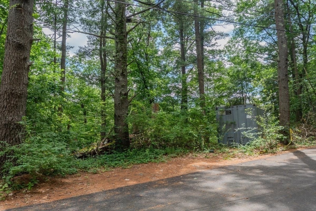 9 Georgia Rd Property Photo 10