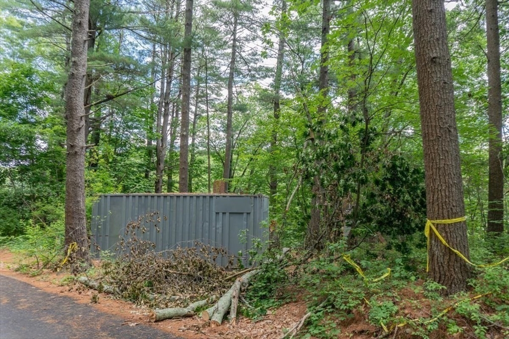 9 Georgia Rd Property Photo 11
